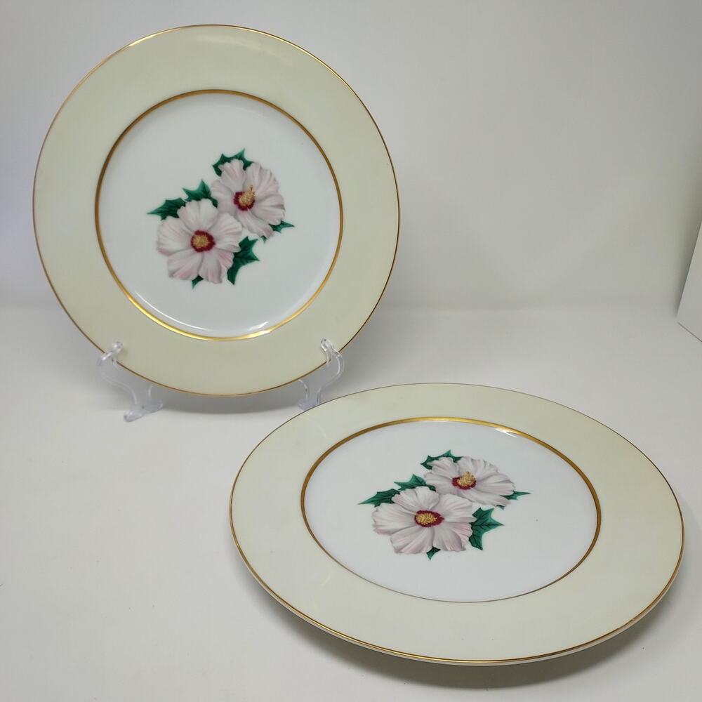 Kent Tropical Pattern Set of 2 Dinner Plates 10 5/8" Occupied Japan Vintage 1950